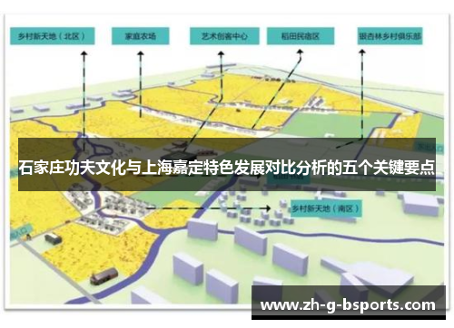 石家庄功夫文化与上海嘉定特色发展对比分析的五个关键要点