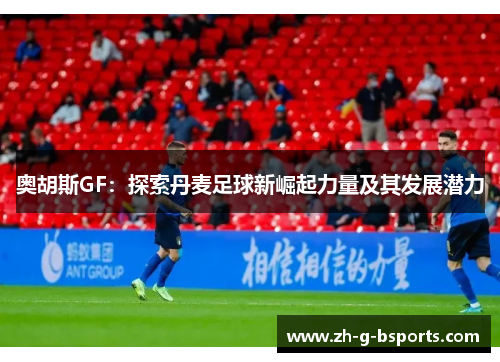 奥胡斯GF：探索丹麦足球新崛起力量及其发展潜力