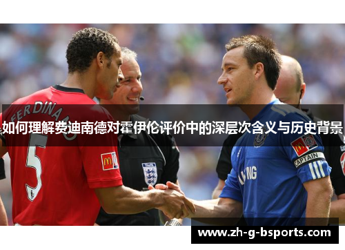 如何理解费迪南德对霍伊伦评价中的深层次含义与历史背景