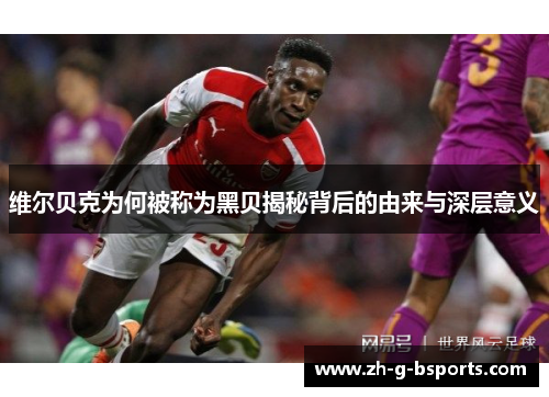 维尔贝克为何被称为黑贝揭秘背后的由来与深层意义 维尔贝克为何被称为黑贝揭秘背后的由来与深层意义
