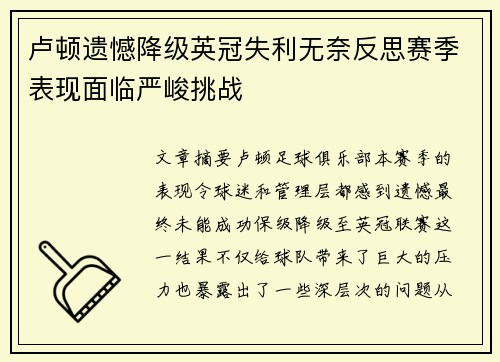卢顿遗憾降级英冠失利无奈反思赛季表现面临严峻挑战